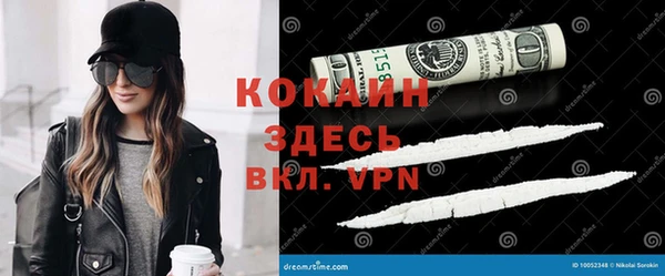 сатива Богданович
