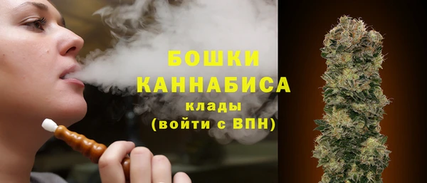 прущий лед Белокуриха