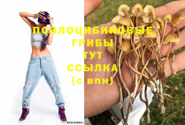 каннабис Богородицк