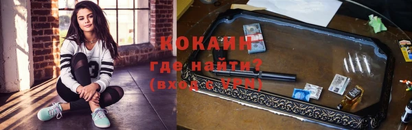 сатива Богданович