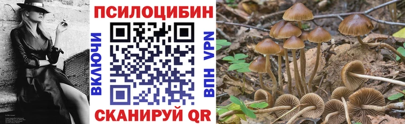 Галлюциногенные грибы Magic Shrooms наркошоп Бугульма